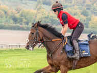 AK021025-55 - Believitanducan